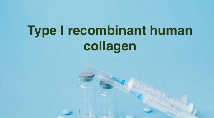 Type I recombinant human collagen (rhCollagen) 